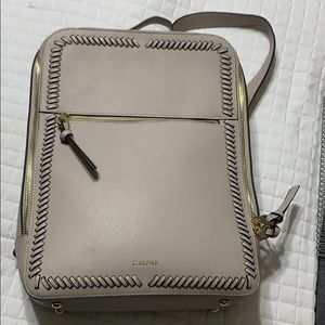 Calpak Backpack